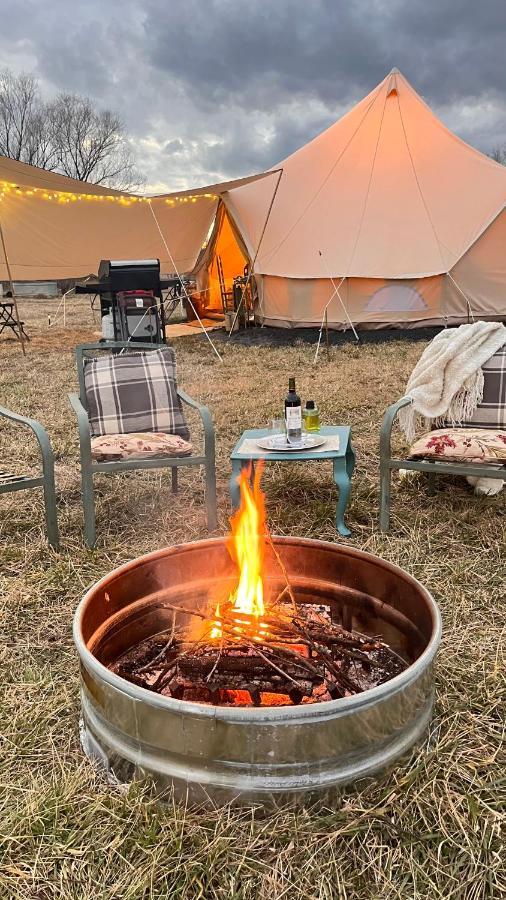 Shenandoah Valley Glamping - Amazing Views - Farm Едінбург Екстер'єр фото