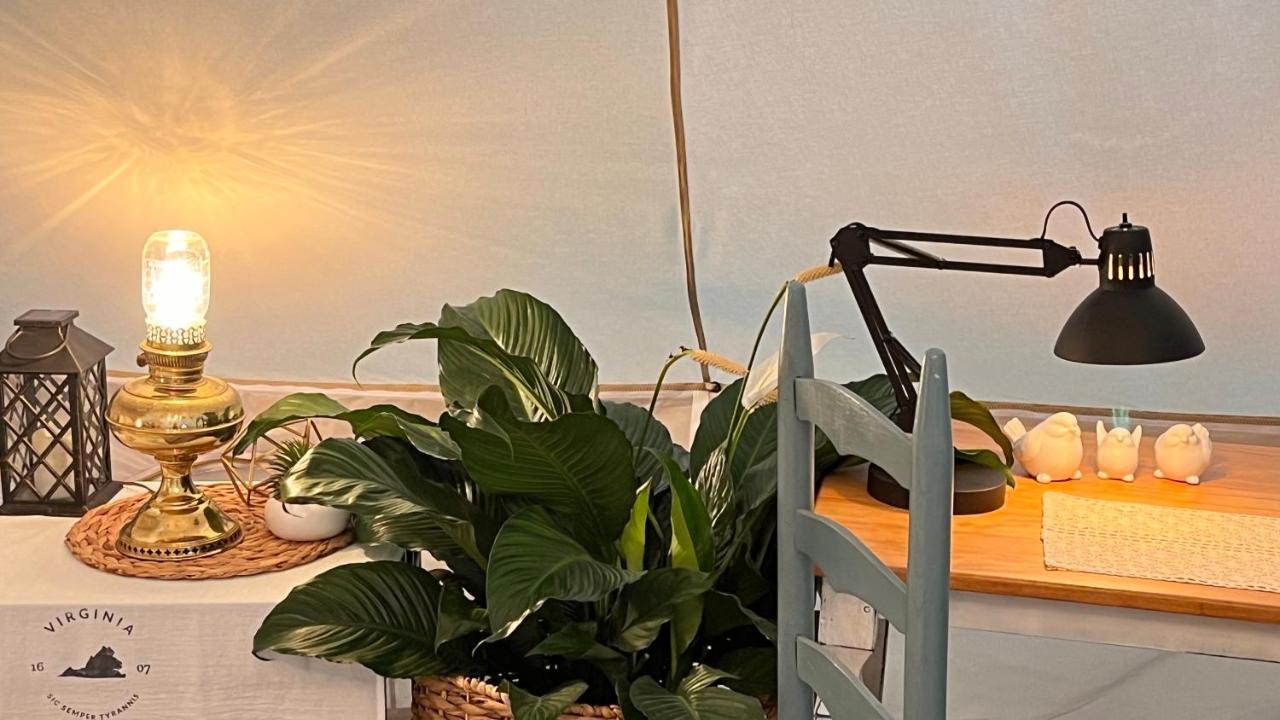 Shenandoah Valley Glamping - Amazing Views - Farm Едінбург Екстер'єр фото