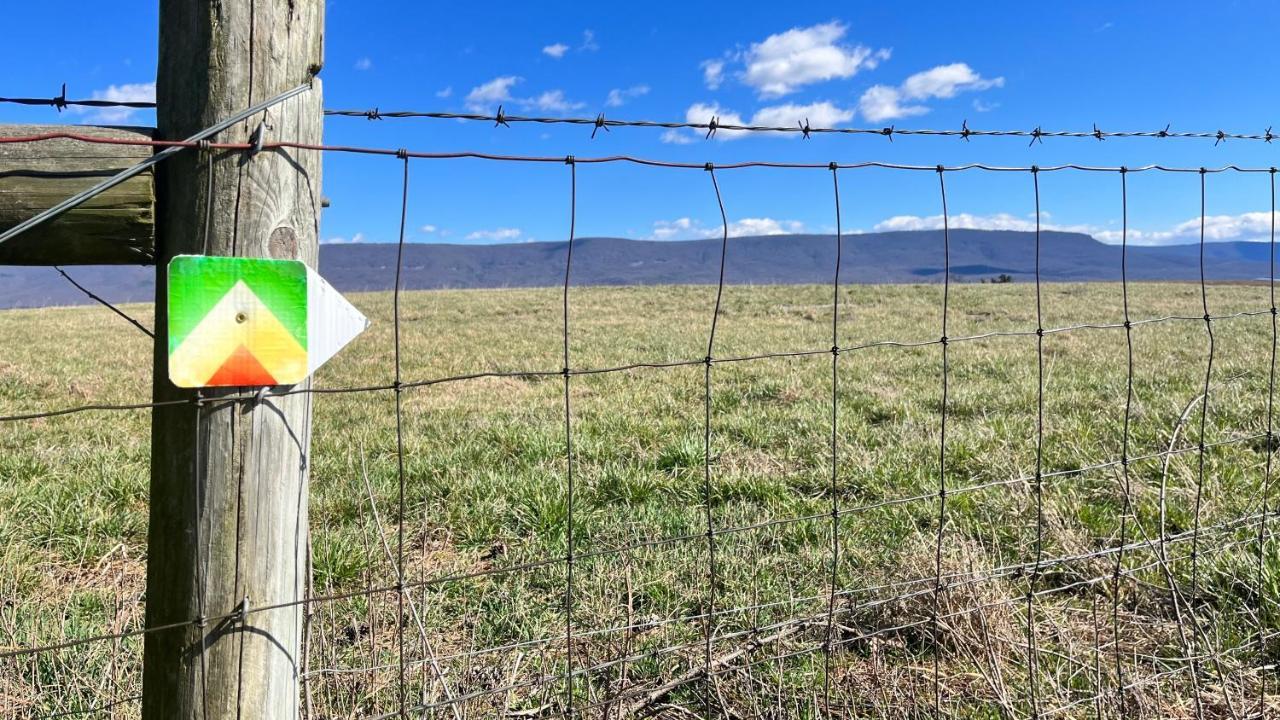 Shenandoah Valley Glamping - Amazing Views - Farm Едінбург Екстер'єр фото
