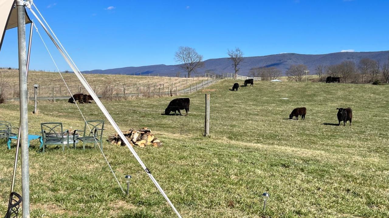 Shenandoah Valley Glamping - Amazing Views - Farm Едінбург Екстер'єр фото